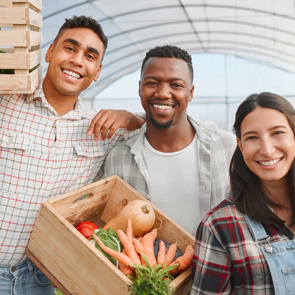 Friends Carrying Boxes of Vegetables