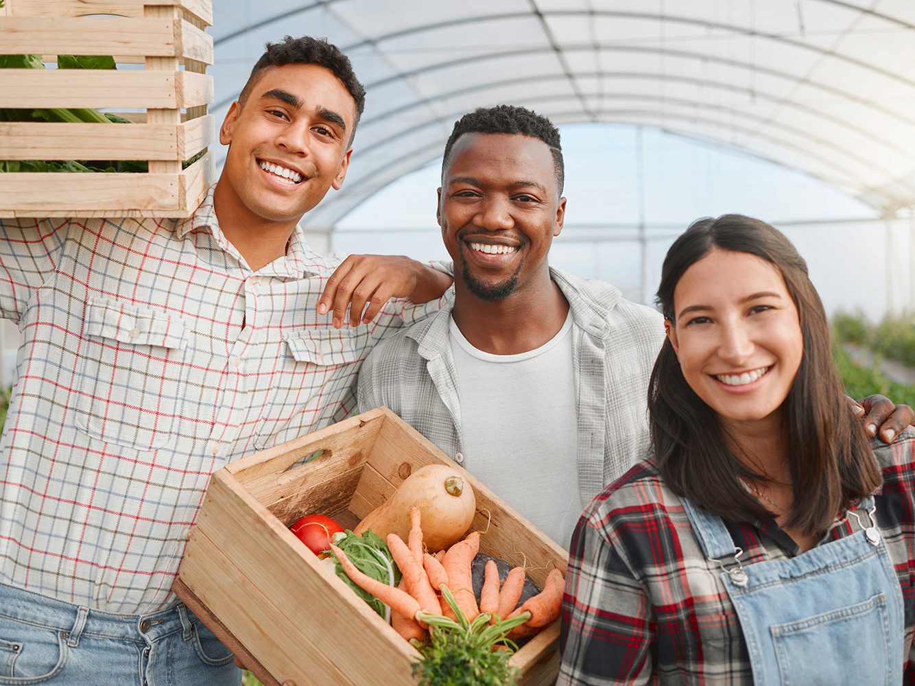 Friends Carrying Boxes of Vegetables