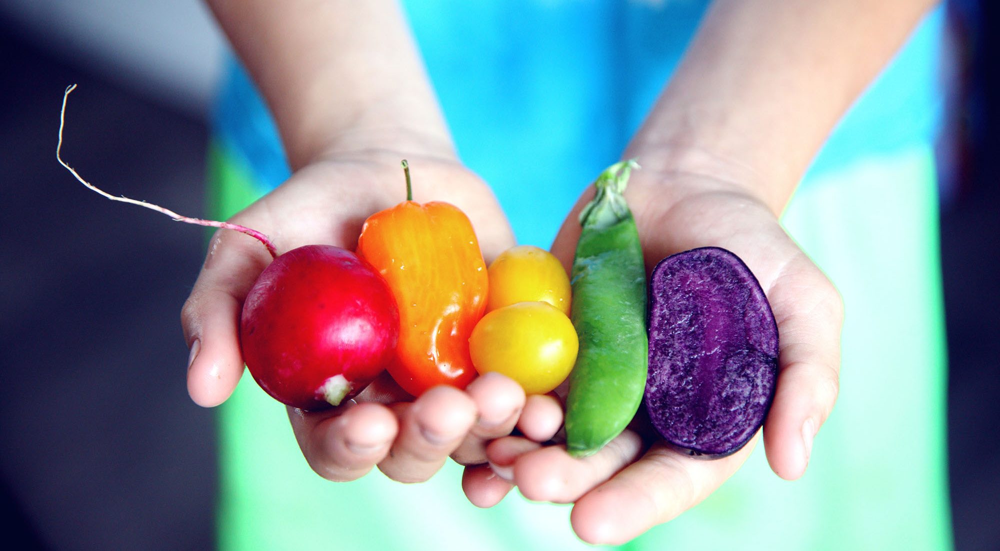 Colourful Fruit and Vegetables