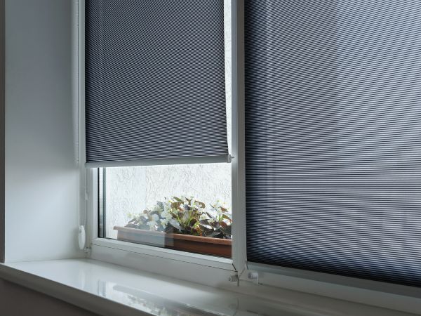 Window with roller blinds down